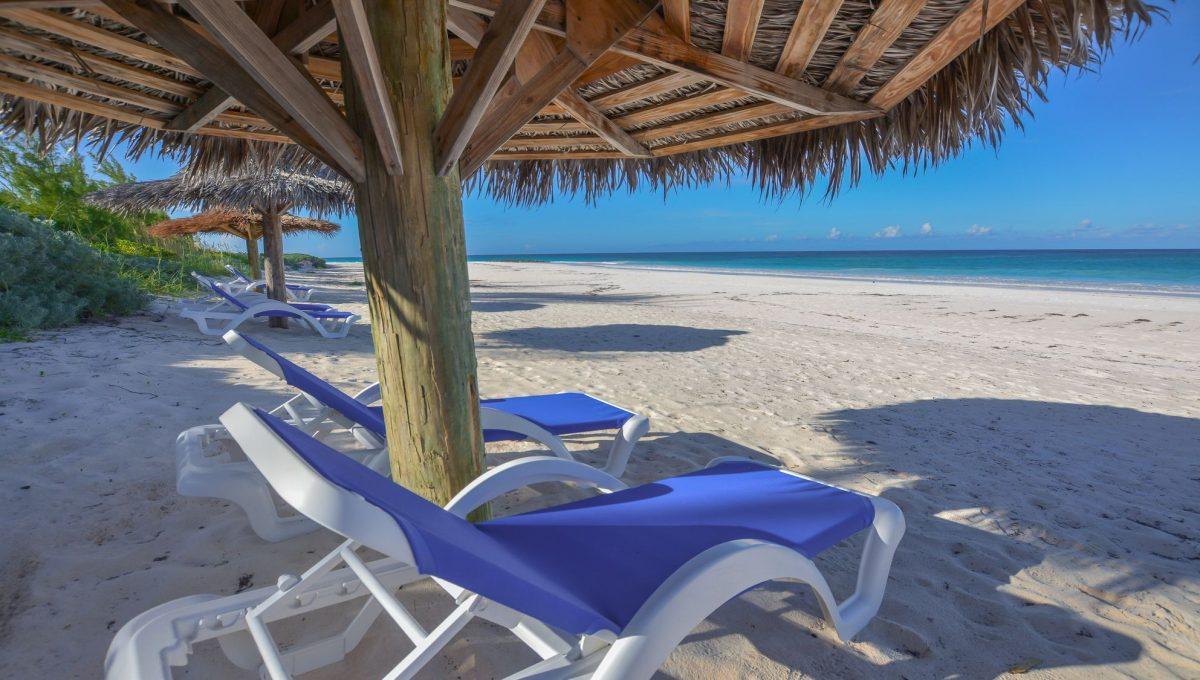 (58) beach chairs & umbrellas